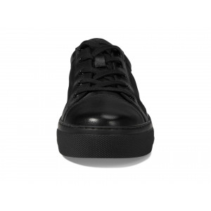 Seychelles Forever Young