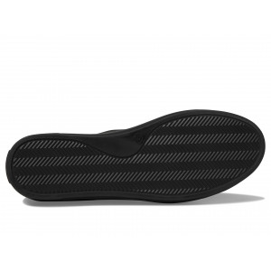 Seychelles Forever Young