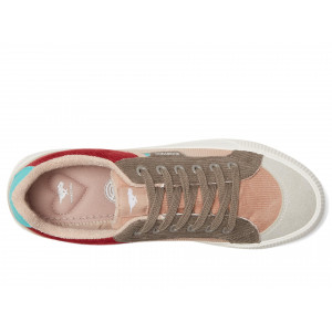 Rocket Dog Cheery Blocked