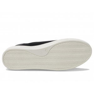 Seychelles Trading Places