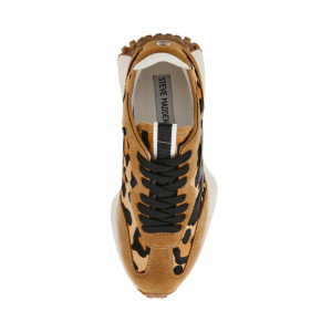 Steve Madden Campo Sneaker